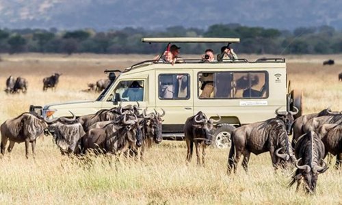 positive impact africa